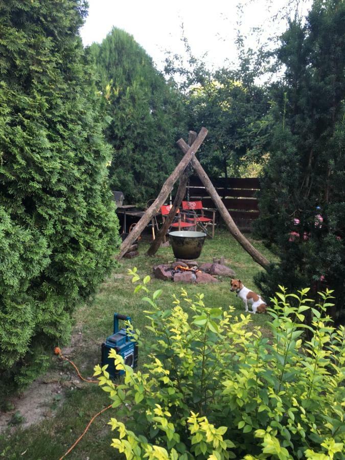 Balatonkenesei Nadfedeles Lovas Vendeghaz别墅 外观 照片