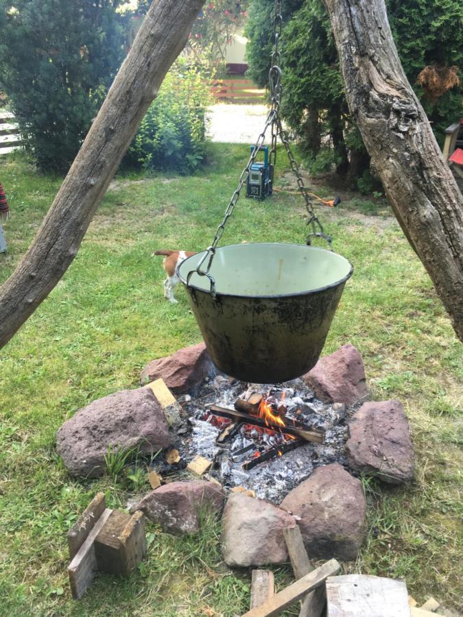 Balatonkenesei Nadfedeles Lovas Vendeghaz别墅 外观 照片