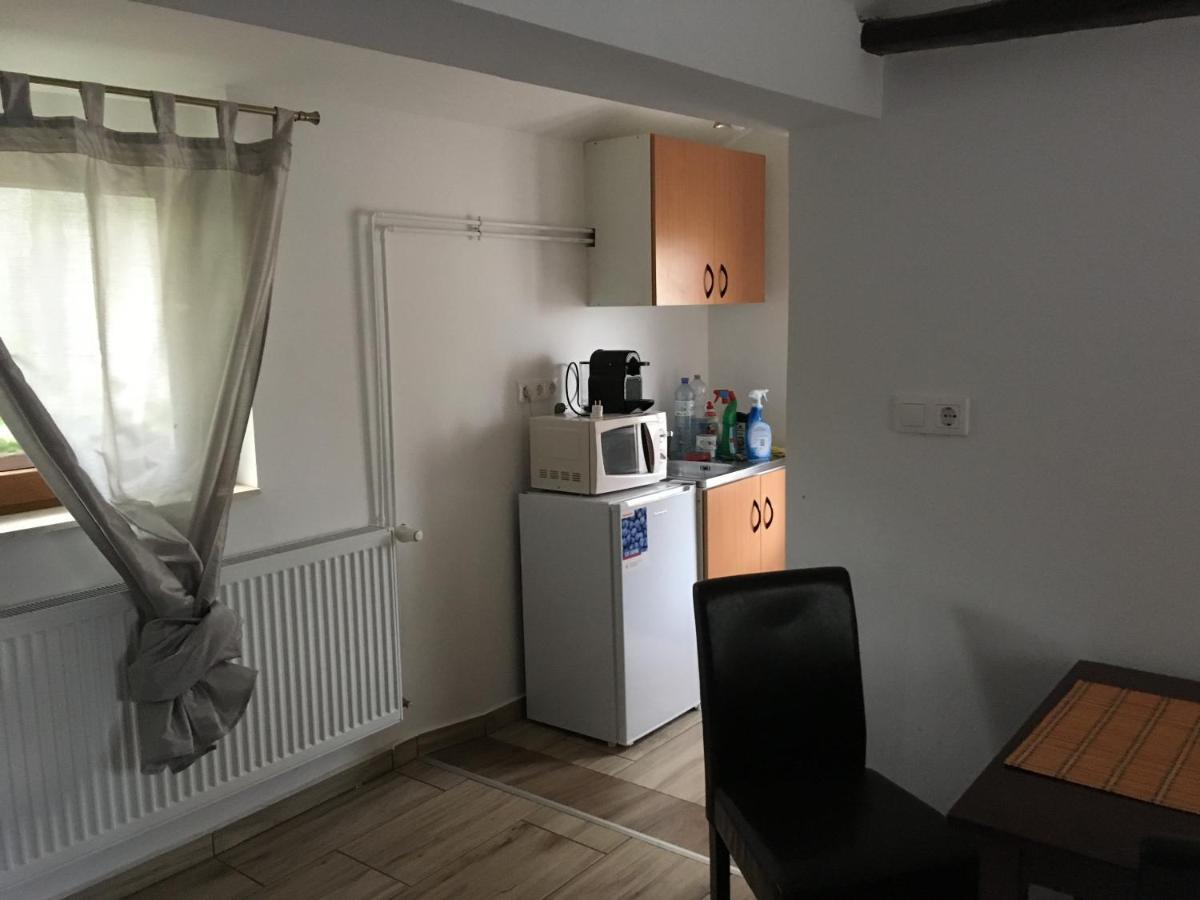 Balatonkenesei Nadfedeles Lovas Vendeghaz别墅 外观 照片